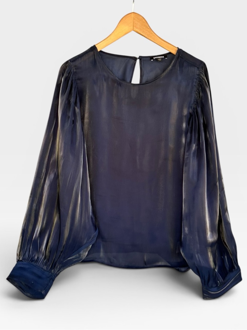 Express Navy Sheer Long Sleeve Blouse